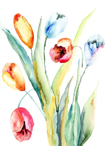Jarní tulipány květiny — Stock fotografie