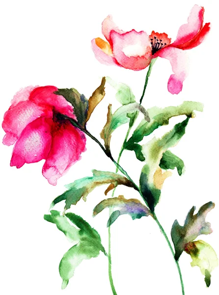 玉兰 水彩图 图库照片 C Jershova