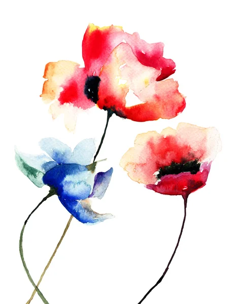 Poppy bloemen, aquarel illustratie — Stockfoto