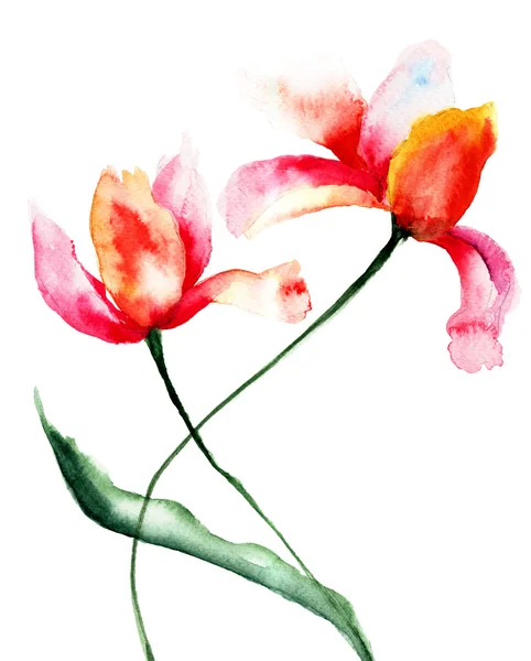 Estilizado Tulipanes flores —  Fotos de Stock