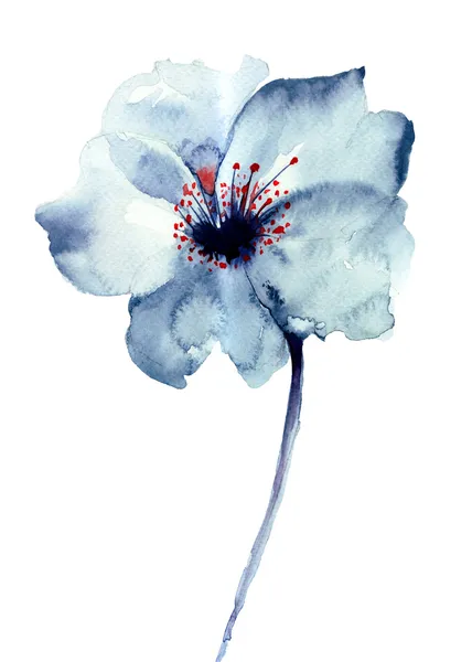 Flor azul decorativa —  Fotos de Stock