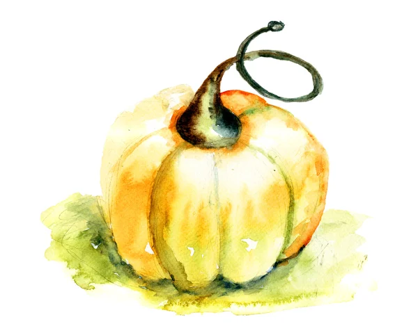 Calabaza —  Fotos de Stock