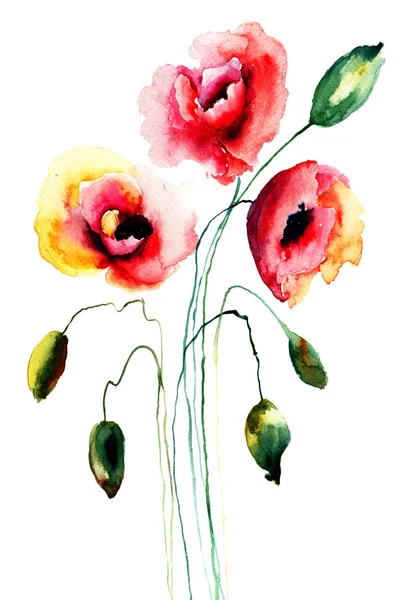 Flores de amapola —  Fotos de Stock