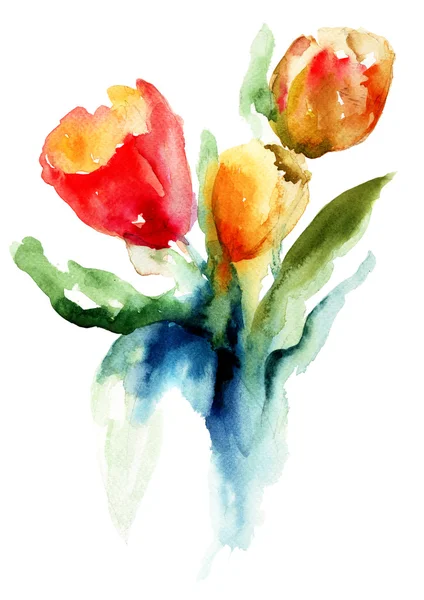 Beautiful Tulips flowers — Stock Photo, Image