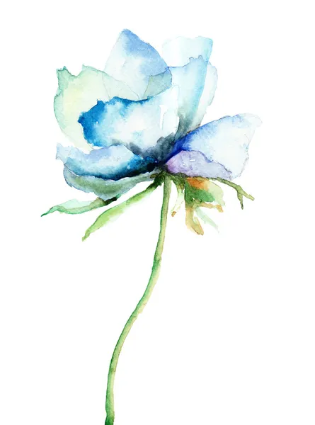 Fotos de stock de Flor azul, imágenes sin royalties de Flor azul