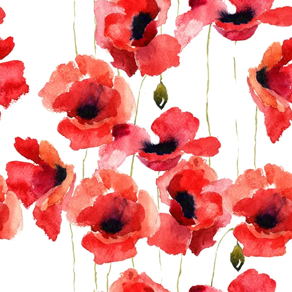 Ilustração de flores Poppy estilizado — Fotografia de Stock