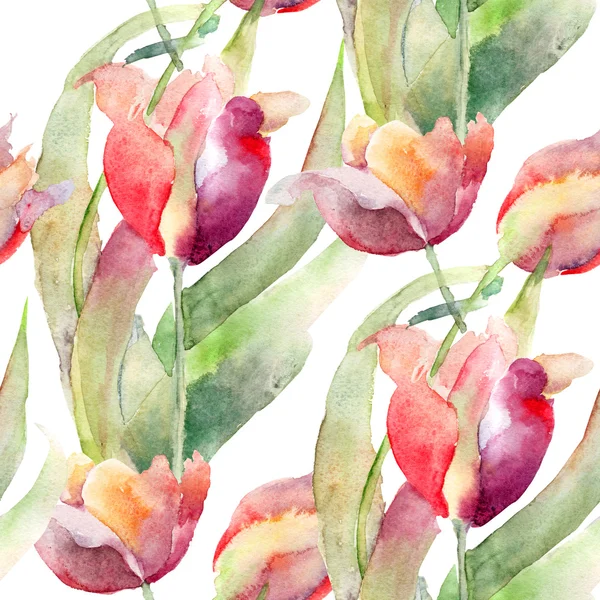 Watercolor illustration of Tulips flowers — Stock Photo, Image