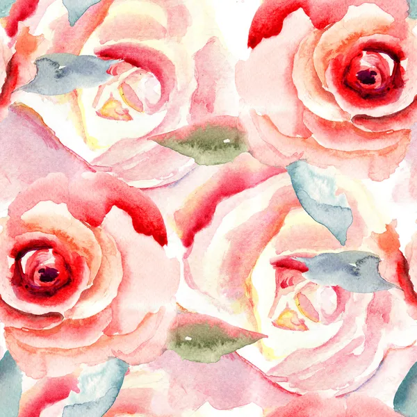 Pintura aquarela com flores de rosa — Fotografia de Stock