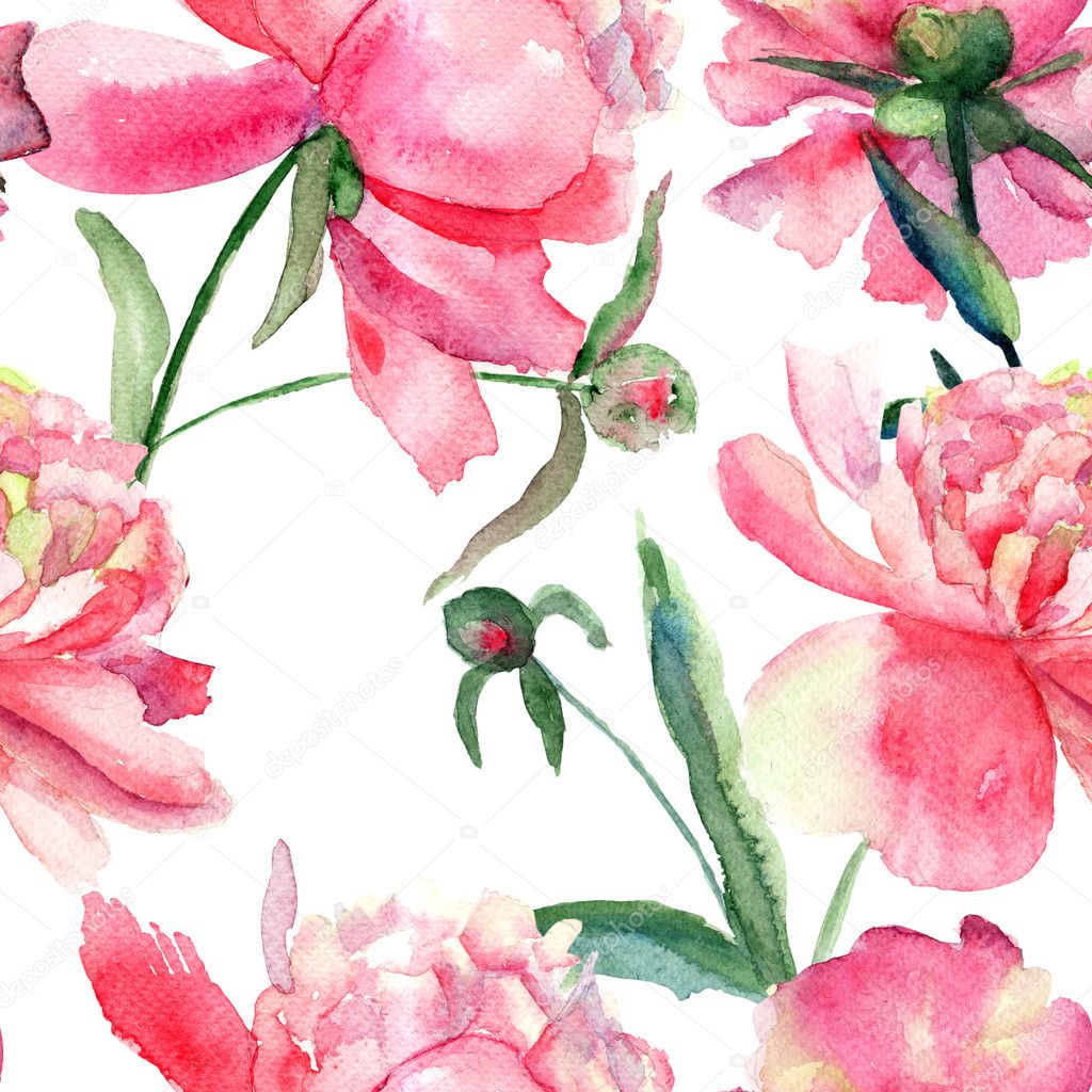 Beautiful Peonies flowers, Watercolor painting