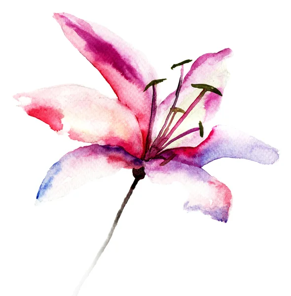 Lindas flores Lily — Fotografia de Stock