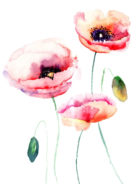 Barevné růžový květ — Stock fotografie