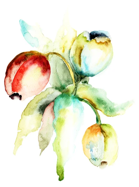 Aquarel van tulpen bloemen — Stockfoto