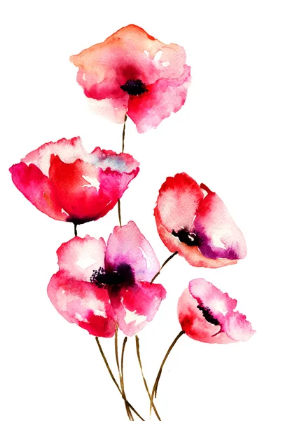 Rode papaver bloemen — Stockfoto