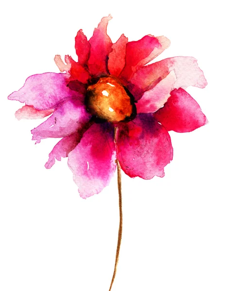 Färgglada röd blomma — Stockfoto