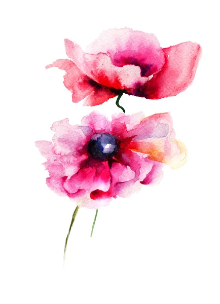 Stylized Poppy flowers — Stock Photo, Image