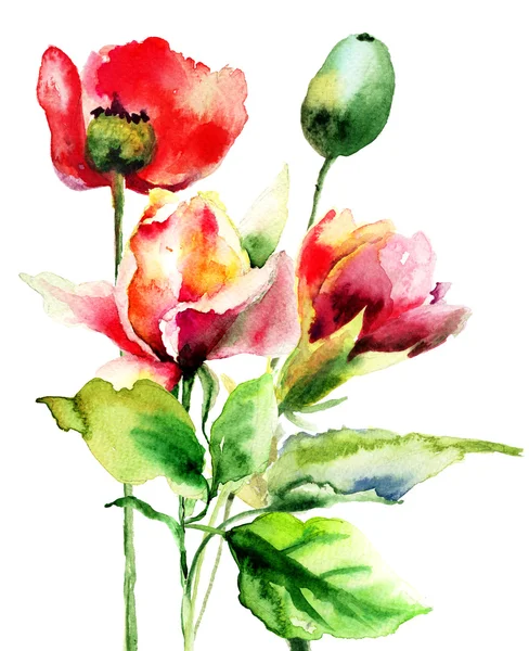 Originální akvarel ilustrace s květinami — Stock fotografie