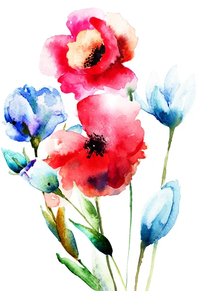 Akvarel ilustrace divokých květin — Stock fotografie
