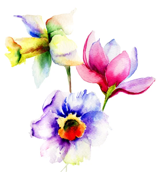 Stilize yaz çiçek — Stok fotoğraf