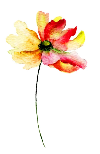 装飾的なガーベラの花 — ストック写真
