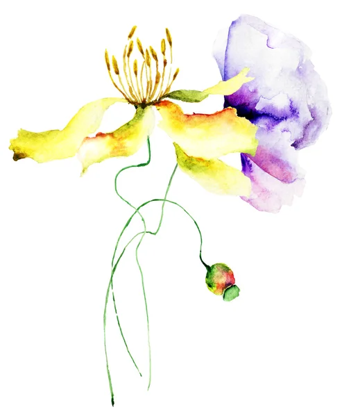Stilize yaz çiçek — Stok fotoğraf