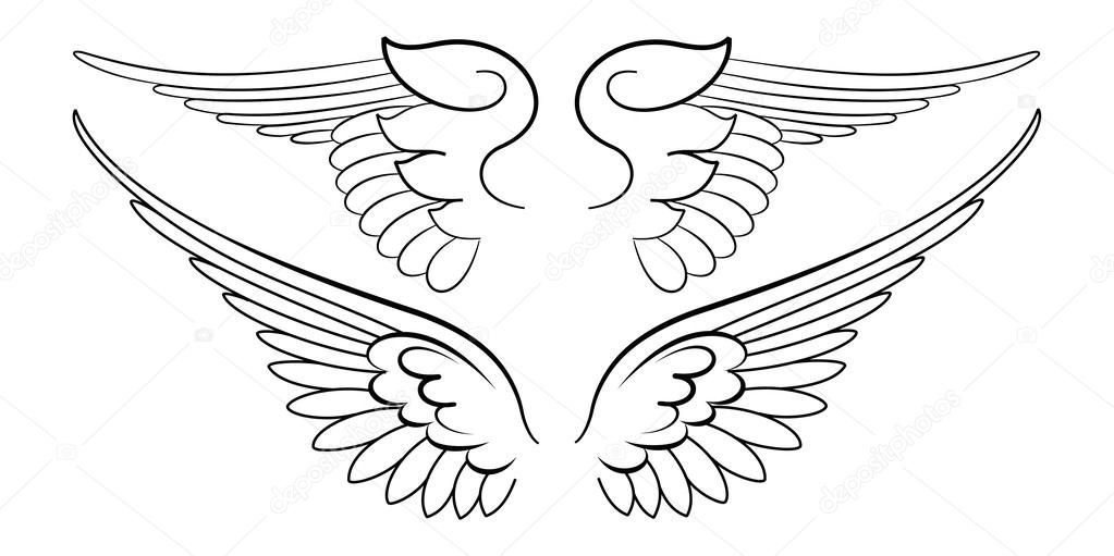 Baroque Wings in Calligraphy Style.