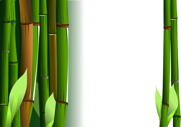 Pędy bambusa — Wektor stockowy
