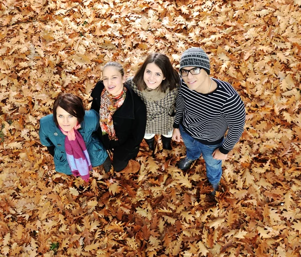 Grupp vänner i parken tillsammans — Stockfoto