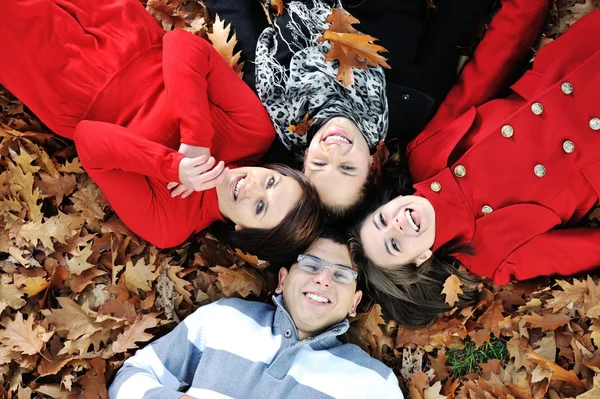 Šťastný skupina mladých přátel dohromady v parku na podzim — Stock fotografie