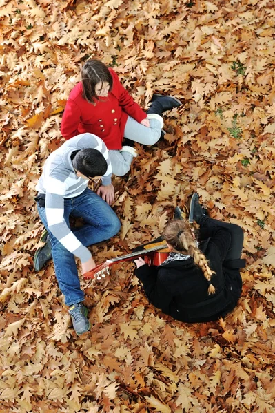 Tieners vrienden spelen de gitaar in het najaar park — Stockfoto