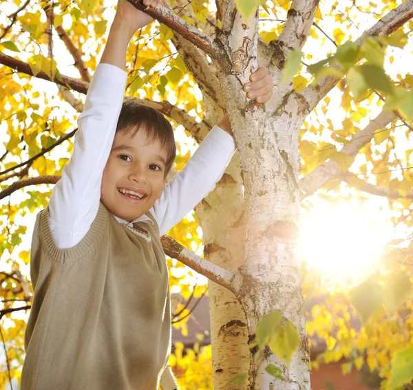 Niño feliz en el retrato de otoño parque —  Fotos de Stock