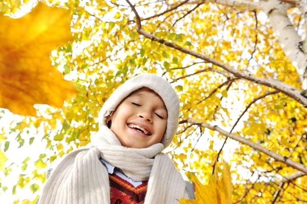 Niño feliz en el retrato de otoño parque —  Fotos de Stock
