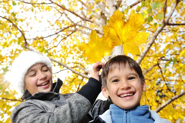 Criança feliz e folhas de outono em um parque — Fotografia de Stock