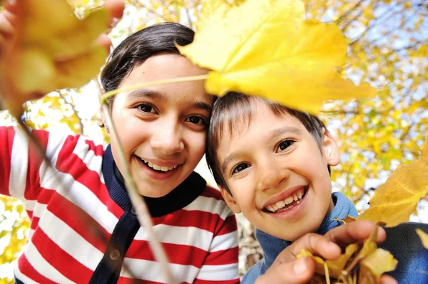 Niño feliz y hojas de otoño en un parque —  Fotos de Stock