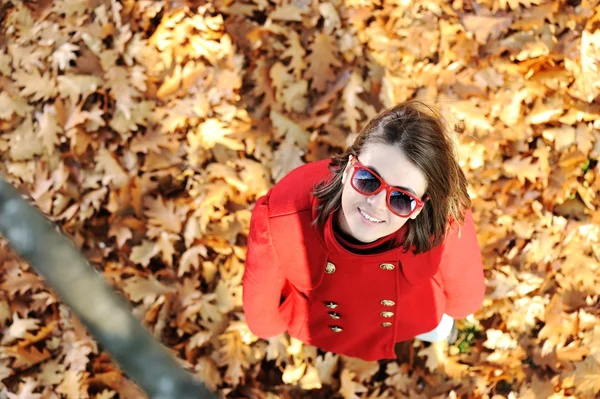 美しい秋の公園で若い女の子 ストックフォト