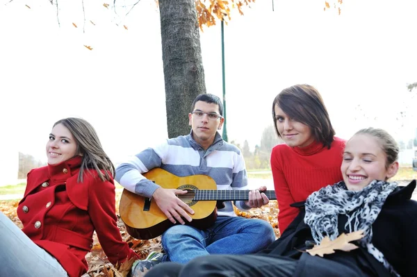 Amis adolescents jouant de la guitare au parc d'automne Image En Vente