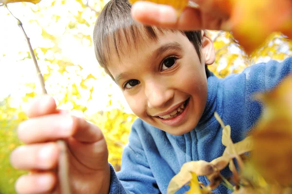 Glückliches Kind und Herbstblätter im Park Stockbild