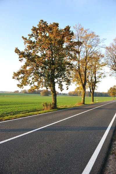 Country road, szép jelenet — Stock Fotó