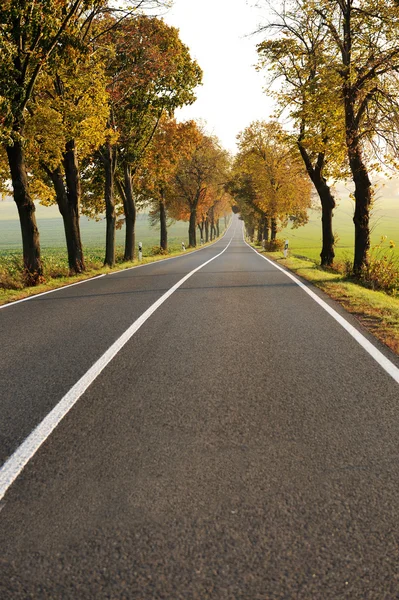 Country road, szép jelenet — Stock Fotó