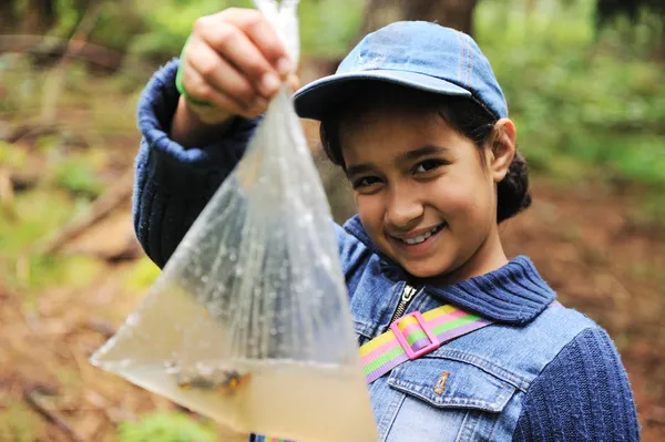 Weinig scouts in bos natuur ontdekken — Stockfoto