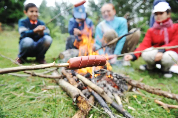 Barbacoa en plena naturaleza, grupo de salchichas preparadas al fuego (nota: dof poco profundo ) — Foto de Stock