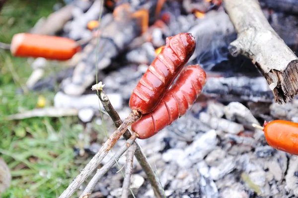 Piknik w przyrodzie, przygotowanie kiełbasy — Zdjęcie stockowe