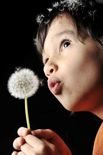 Blowing flower — Stock Photo, Image