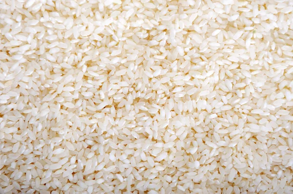 Rice background — Stock Photo, Image