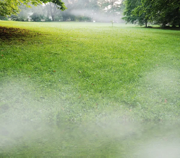 Paisaje en la niebla — Foto de Stock