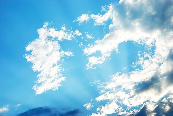 Красивое динамическое небо с красивыми цветами Стоковое Фото