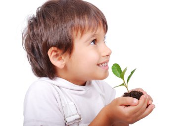 yeşil bitki elinde tutan küçük şirin çocuk