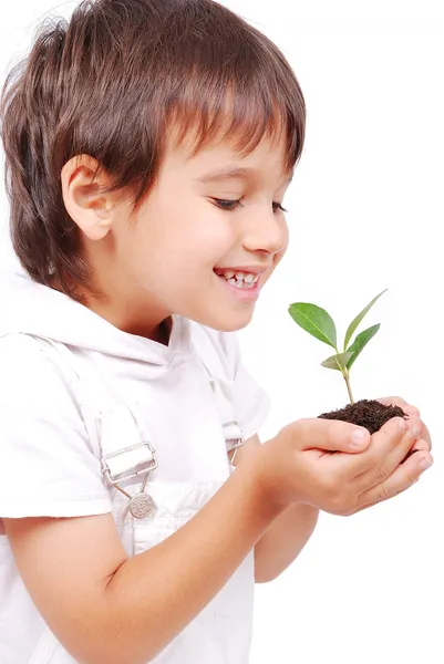 Pequena criança bonito segurando planta verde nas mãos — Fotografia de Stock