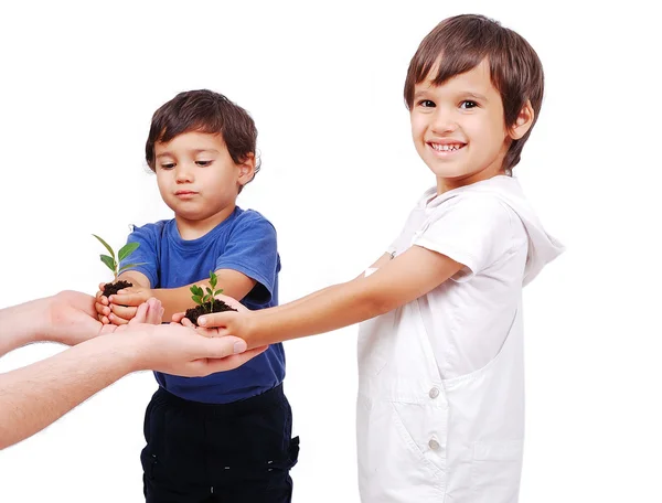 Små söta barn håller grön växt i händer — Stockfoto