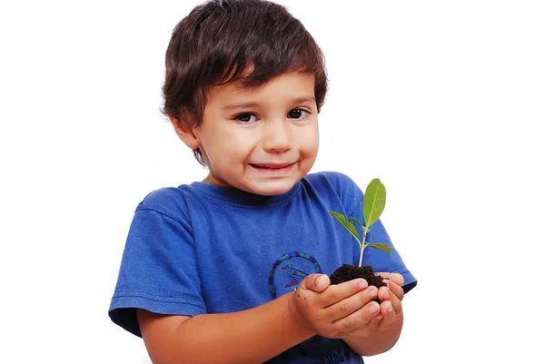 Μικρό χαριτωμένο παιδί κρατώντας πράσινο φυτό στα χέρια — Φωτογραφία Αρχείου