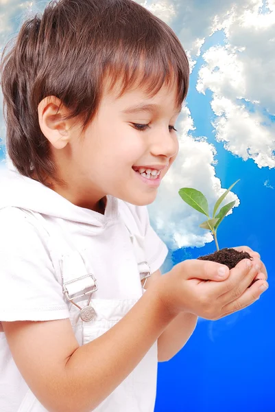 Klein schattig kind bedrijf groene plant in handen — Stockfoto
